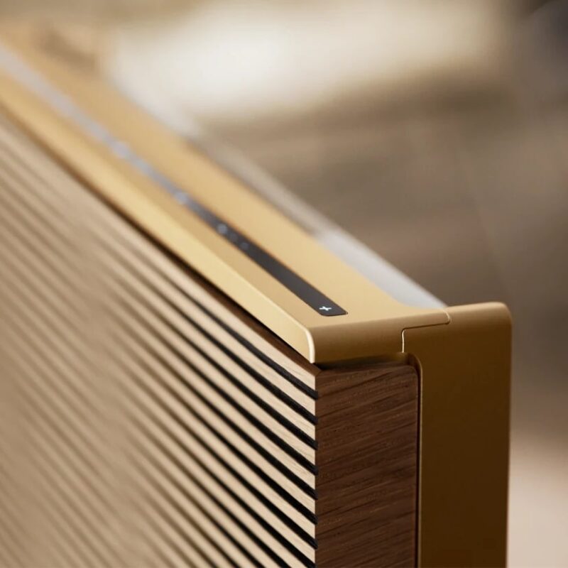 Loa B&O Beosound Level