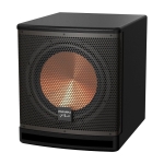 Loa Sub Điện Paramax SUB-A30