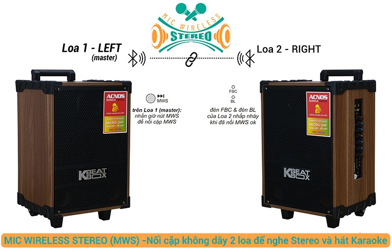 Loa Acnos CS140 cao cấp