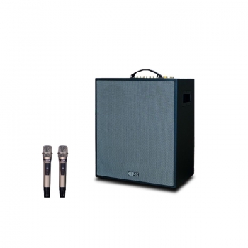 Loa Acnos CS551