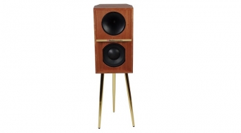 Loa Boston Acoustics The Horn 10