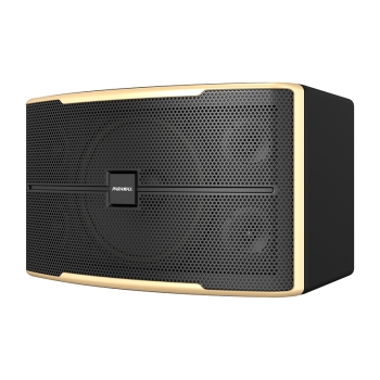 Loa Paramax Z2500