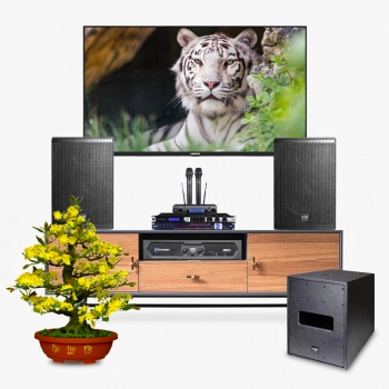 Dàn karaoke LA025 (SE Audiotechnik COX 8 + SE Audiotechnik M-F3 SUB + Đẩy công suất Crown KVS300 + Vang số JBL KX180A + Micro JBL VM300 + Quản lý nguồn Kiwi S803)