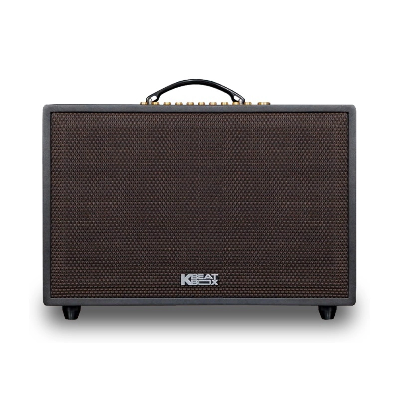 Loa Acnos CS3600 Pro