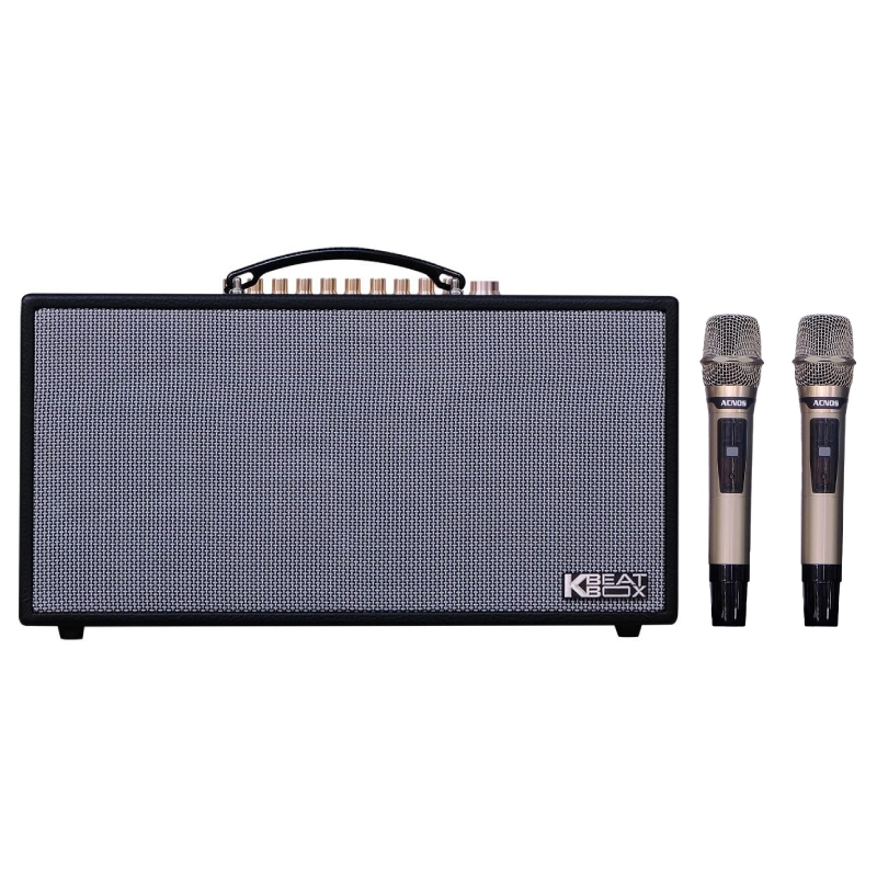 Loa Acnos CS450SRV Plus