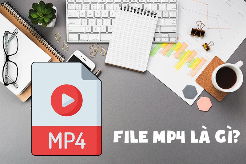 Định dạng MP4 – Chuẩn tập tin đa phương tiện linh hoạt và phổ biến nhất hiện nay